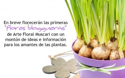 “Flores Bloggueras”