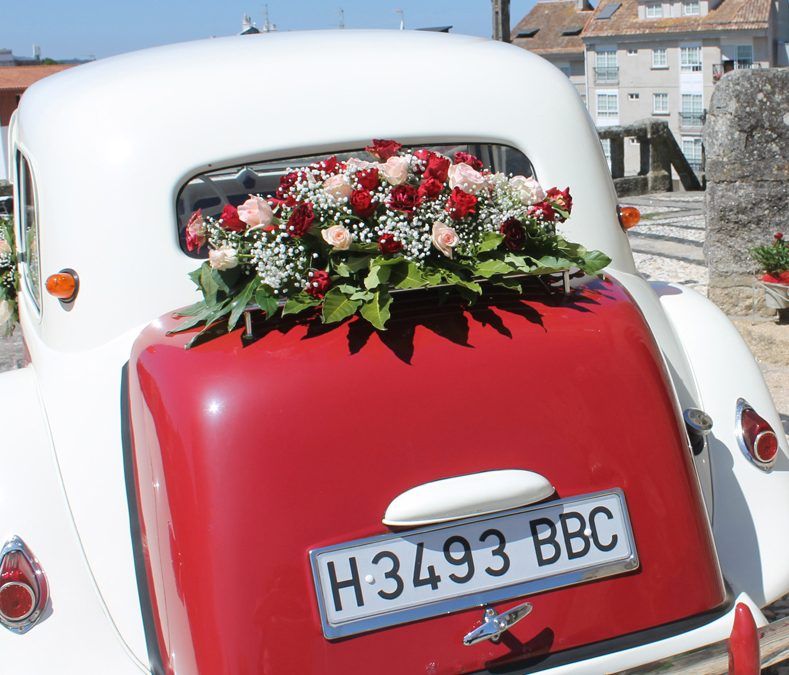 Boda Patry
